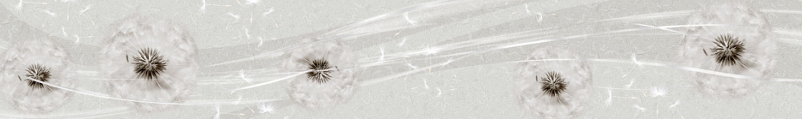 skinali 1278
